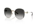 Coach Cad73 Zonnebril HC 7176B 90053C