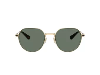 Coach Cae81 Zonnebril HC 7179 90053H