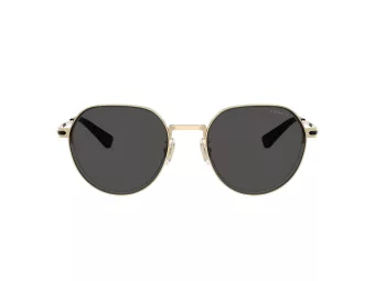 Coach Cae81 Zonnebril HC 7179 900587