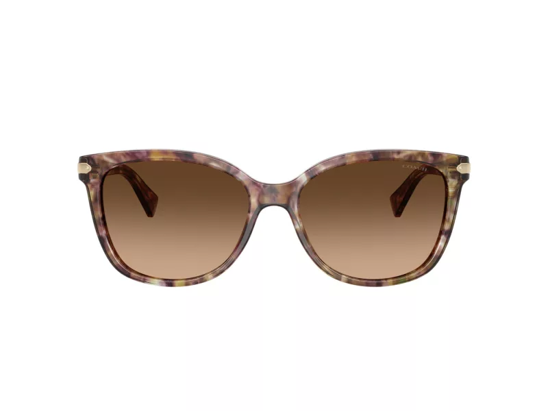 Coach L109 Zonnebril HC 8132 528713