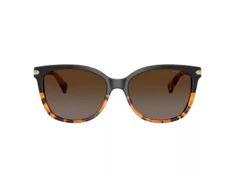 Coach L109 Zonnebril HC 8132 5438T5