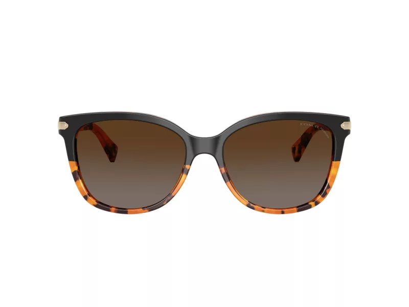 Coach L109 Zonnebril HC 8132 5438T5