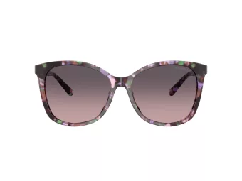 Coach L1101 Zonnebril HC 8271U 584346