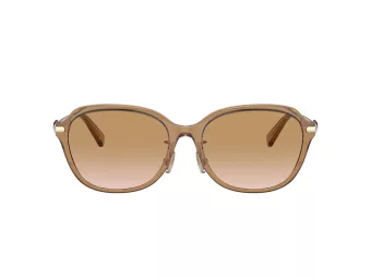 Coach C6199 Zonnebril HC 8332D 565413