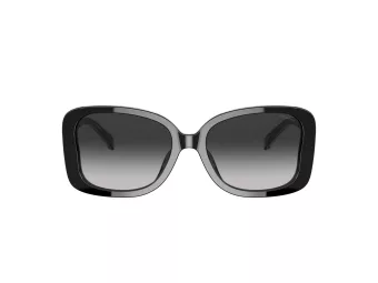 Coach C7994 Zonnebril HC 8334U 50023C