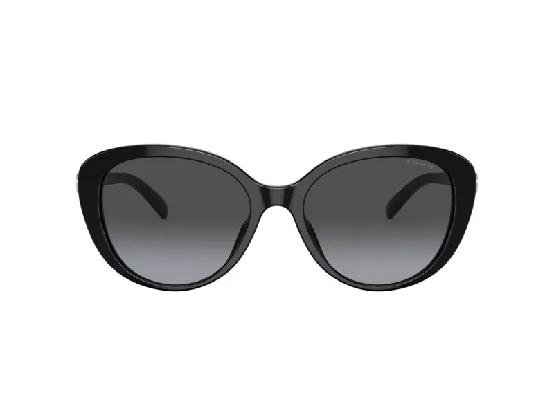 Coach Cd479 Zonnebril HC 8348U 50028G