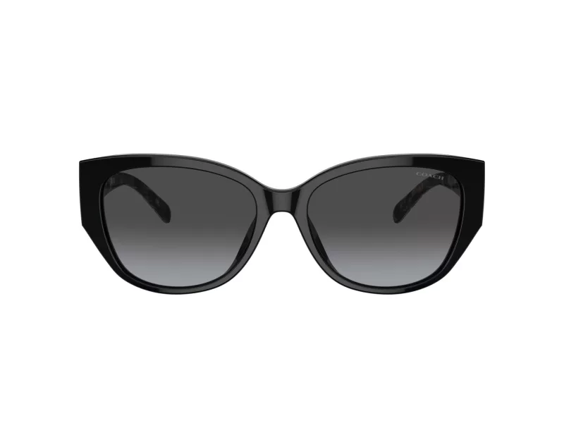 Coach Ch563 Zonnebril HC 8362U 50028G
