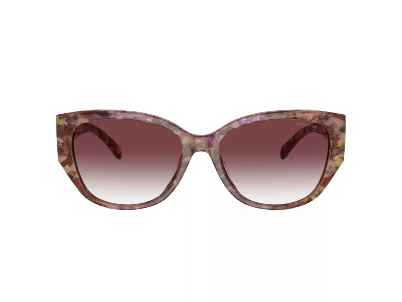 Coach Ch563 Zonnebril HC 8362U 57398H