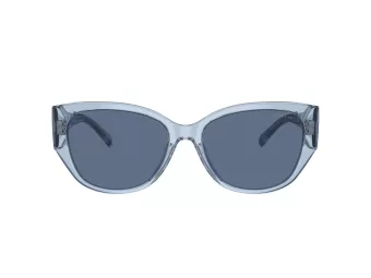 Coach Ch563 Zonnebril HC 8362U 574080