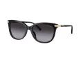 Coach Cl926 Zonnebril HC 8378U 50028G