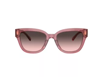 Coach Cl920 Zonnebril HC 8379U 580046