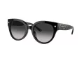 Coach Cr612 Zonnebril HC 8393U 50023C