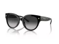 Coach Cr612 Zonnebril HC 8393U 50023C