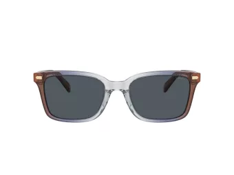 Coach Cr630 Zonnebril HC 8398U 581587