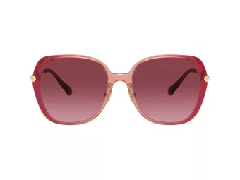 Coach Cr636 Zonnebril HC 8403D 58268H