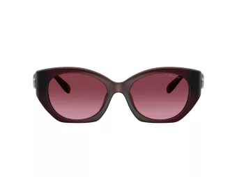 Coach Cw194 Zonnebril HC 8407U 53938H