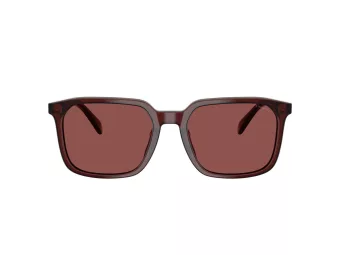 Coach Cw405 Zonnebril HC 8411U 585075