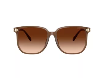 Coach Cw419 Zonnebril HC 8413BD 580874