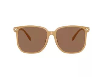 Coach Cw419 Zonnebril HC 8413BD 585473