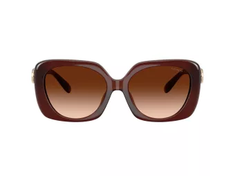 Coach Cad33 Zonnebril HC 8422U 584174