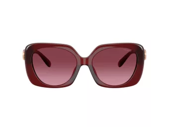 Coach Cad33 Zonnebril HC 8422U 58708H