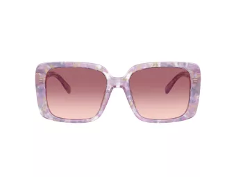 Coach Cad54 Zonnebril HC 8424U 58677W