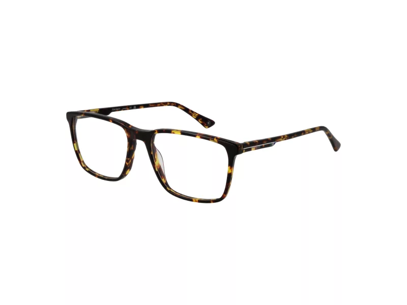 Hackett Brillen HEK 1326 188