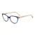 Carolina Herrera Brillen HER 0253 BR0
