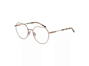Ana Hickmann Brillen HIY 1005 05A