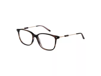 Ana Hickmann Brillen HIY 6010T E01
