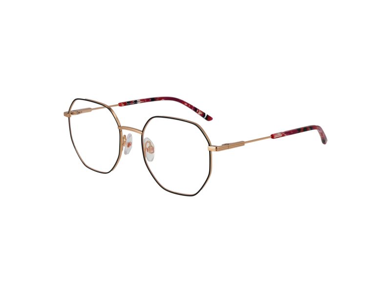 Ana Hickmann Brillen HI 1179 07A