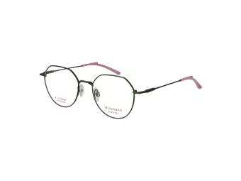 Ana Hickmann Brillen HI 1243T 12A