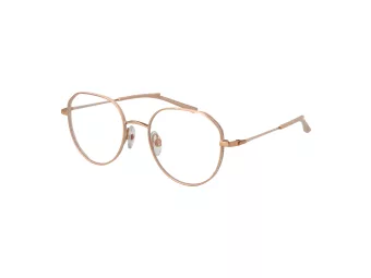 Ana Hickmann Brillen HI 1247T 05A