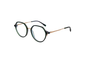 Ana Hickmann Brillen HI 6255 T01