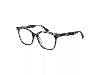 Ana Hickmann Brillen HI 6273 G21