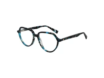 Ana Hickmann Brillen HI 6277 G21