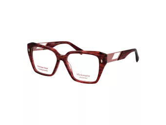 Ana Hickmann Brillen HI 6309G E01