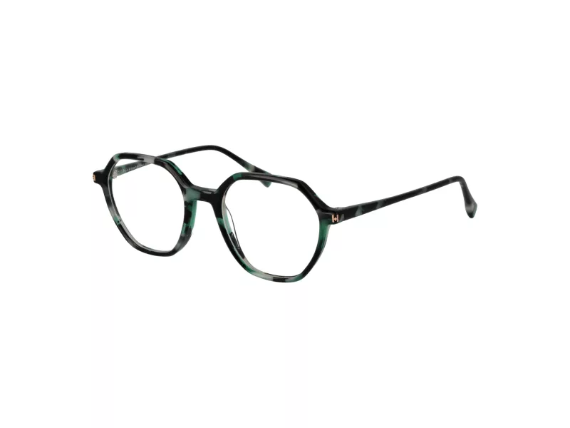 Ana Hickmann Brillen HI 6335 G21
