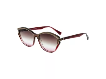 Ana Hickmann Zonnebril HI 9185 C01