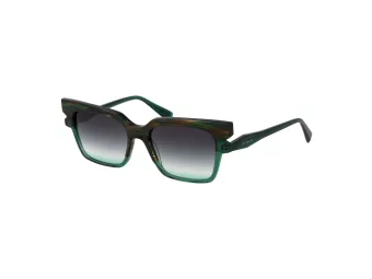 Ana Hickmann Zonnebril HI 9228 P01