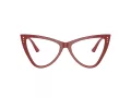 Jimmy Choo Brillen JC 3004B 5013