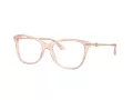 Jimmy Choo Brillen JC 3007HB 5034