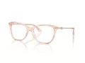 Jimmy Choo Brillen JC 3007HB 5034