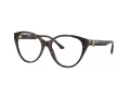 Jimmy Choo Brillen JC 3009 5002