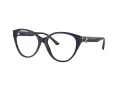 Jimmy Choo Brillen JC 3009 5016