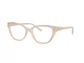 Jimmy Choo Brillen JC 3011 5025
