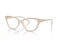 Jimmy Choo Brillen JC 3011 5025