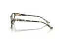 Jimmy Choo Brillen JC 3012 5068