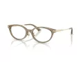 Jimmy Choo Brillen JC 3029D 5051