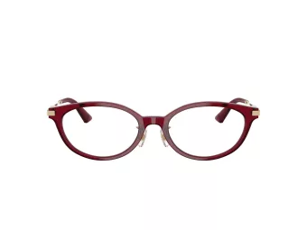 Jimmy Choo Brillen JC 3029D 5062